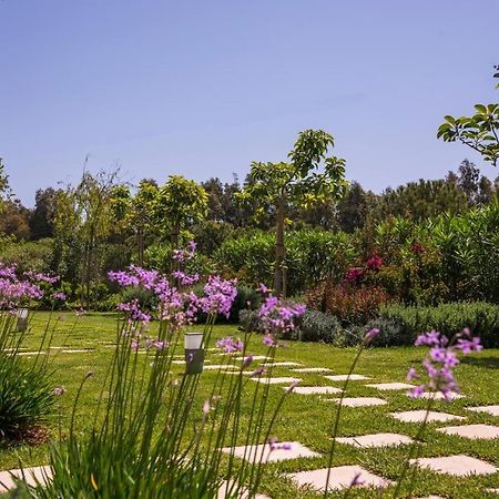 Mear Holiday Homes - Cretan Summer Getaways Kountoura Selino Экстерьер фото