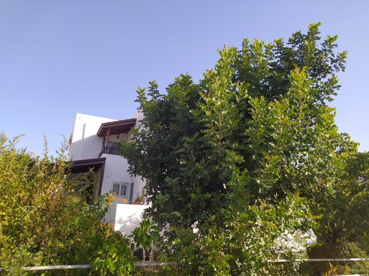 Mear Holiday Homes - Cretan Summer Getaways Kountoura Selino Экстерьер фото